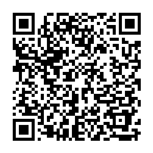 但是现在大陆上实力为尊一个再有才的人没有实力也不会得到别人的关注的二维码生成