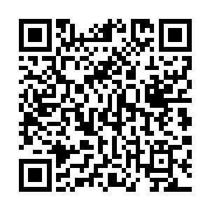 但是现在我需要你们在最短的时间内赢得白面和夏儿的原谅二维码生成