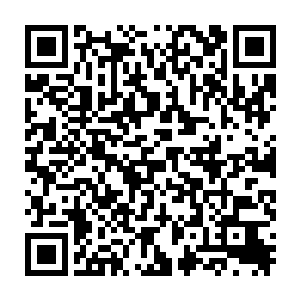 但是现在的南宫流云……苏落脑海里浮现出上次在静园里他的冷言冷语二维码生成