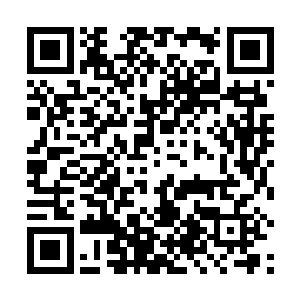 但是现在的杨家的势力在神武帝国几乎已经达到顶峰了二维码生成