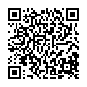 但是现在这个反弹百分之三十的伤害让他没有多余的力量阻挡了二维码生成