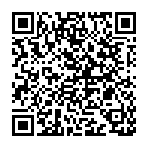 但是现阶段只有练体期一重的他无论如何也打不过练体二重的王义高二维码生成
