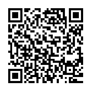 但是目睹了这一整个过程的校园小霸王刘家杰却已经气红了双眼二维码生成