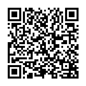 但是相比起流墨墨现在穿着的好看却没有任何属性加成的蓬蓬裙二维码生成