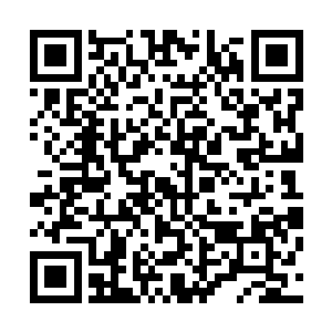 但是看到墨小宝一脸真诚的抓着一只水晶肘子使劲啃的模样二维码生成