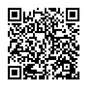 但是看着眼前已经成为自己主人的沙浩却又没有任何的办法二维码生成