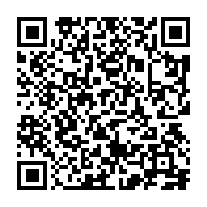 但是看着眼前的少女淡然微笑的模样他却觉得回想从前的事其实并不是那么痛苦二维码生成