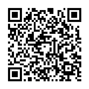 但是秦宇还是从白起的话中发现了一丝有用的信息二维码生成