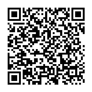 但是站在他们身后的赵长枪却轻轻的拍了一下两人的肩膀淡淡的说道二维码生成