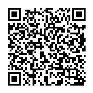 但是第二层和第一层最大的区别就是第二层已经可以将狮子战歌凝聚成为实体了二维码生成