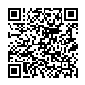 但是苏凡的手臂早就已经因为圣皇的缘故伤口再次复发二维码生成