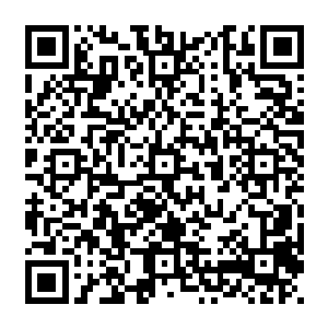 但是莫小鱼的每一次攻击使她在感觉脊背疼痛的时候又体会到了身体感受到的另外一种刺激二维码生成