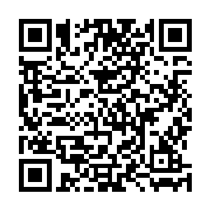 但是莫小鱼认为董天明和程伟安都看到了自己和杨燕妮了二维码生成