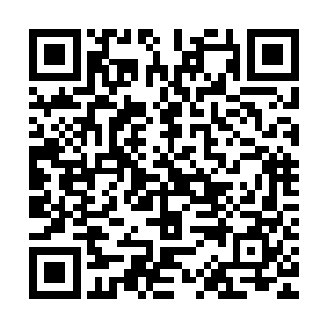 但是被巨大的冲击力打飞摔在走廊上的林封还是一口血喷了出来二维码生成