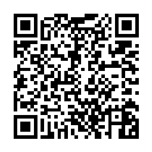 但是要是在两个月之前……凌云觉得肯定是燕子这小姑娘瞎掰二维码生成