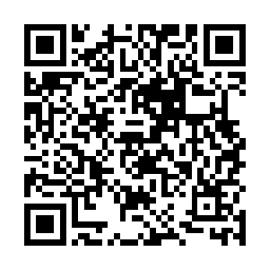 但是许紫烟仍然没有将捆在凌霄身上的长龙和巨网撤去二维码生成