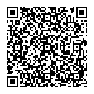 但是说能够令一群圣元境至多长生境初阶的修者在两年时间中提升修为到出现五位永恒境界强者的程度二维码生成