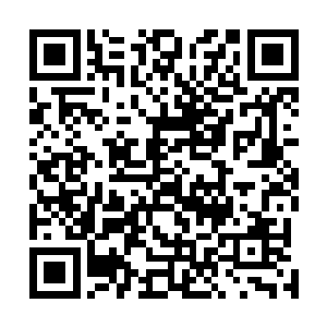 但是谢星星缠在他脖子上的双手却没有从他的脖子上拿开二维码生成