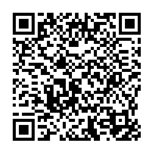 但是起码上空正打的仙术光霞横飞的敖飞华和一名穿着一身蓝衣的仙人二维码生成