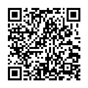 但是跟卫海这种在修炼界之中混了无数年的老鸟比起来二维码生成