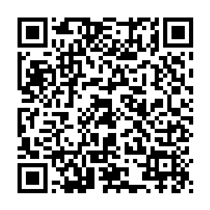 但是还记得当初那个被华姐姐宠溺保护着的小公主天真可爱的模样二维码生成
