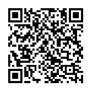 但是这些人都在打电话找关系让人帮忙增加萨满传奇的数据二维码生成