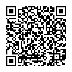 但是这些嘲笑声都没有能够让伊布拉希莫维奇心中的斗志火焰熄灭二维码生成