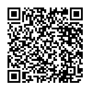 但是这些在深夜还在用功或进行秘密交流的祭司无一例外全部似梦游般神智不清二维码生成