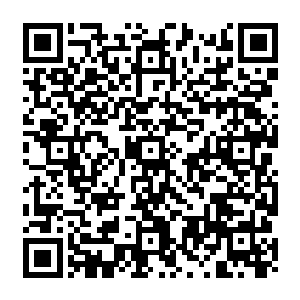 但是这并不妨碍他从那些已经在他面前站定的一串白果童子身上感知到他们的恶意和危险二维码生成