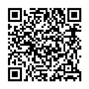 但是这怀旧的音乐唤醒的却是文森特儿时在街道上的记忆二维码生成