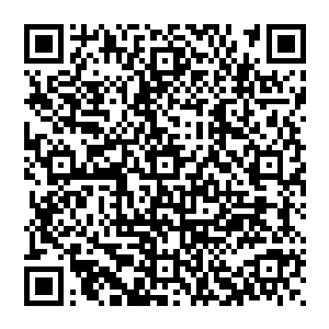 但是这毕竟是命令狂女早就已经命格注定了一切为什么自己竟然算到了他的命格为什么自己还是没有将他二维码生成