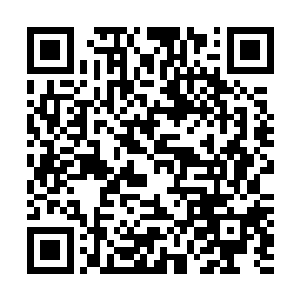 但是这狐狸眼睛里闪过的算计嘲讽似乎让苏青黛感到很不安二维码生成