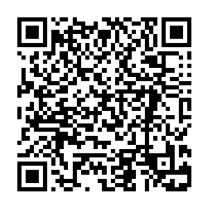 但是这种只是誓言圈定的护卫和之前誓言圈定的宠物其实并没有什么两样二维码生成