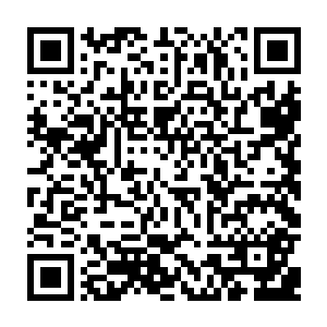 但是这种在如父的兄长和如母的嫂子的宠爱中长大的小孩竟然会生出这种心思二维码生成