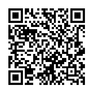 但是这种大任务仅仅靠南毛北马的数千名弟子根本就不能完成二维码生成
