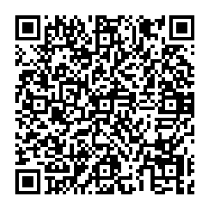 但是这种机制的确立的确为这些计划单列市赢得了更多的直接面向中央和国务院部委对话的权力和机会二维码生成