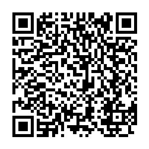 但是这种牵扯到教廷根本利益的事情教皇也不可能任性地就答应苏凡了二维码生成