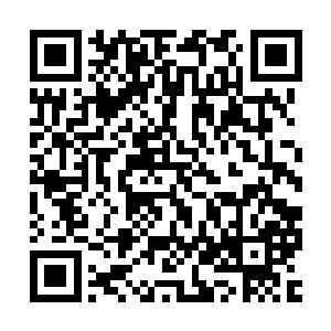 但是这项工作的确也是凝聚了不少心xuè从开始筹备到方案出台二维码生成