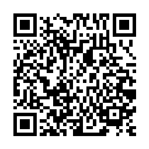 但是那可怕的罡气却是已经提前抵达了……站立在那里的秦方二维码生成