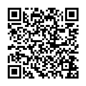 但是那张刻满了刀痕和岁月的黝黑的方脸却格外的紧绷二维码生成