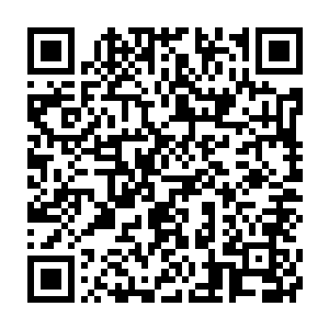 但是金仙的手段和眼前池佳一展现出来的手段还真是差了十万八千里啊二维码生成