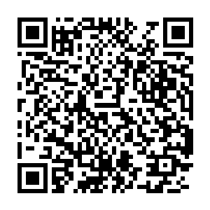 但是陈小练却莫名感觉到了它语气里的那种无法用言语描述的虔诚二维码生成