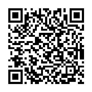 但是陈景皓他们几个人的脸上却是没有任何激动之色二维码生成