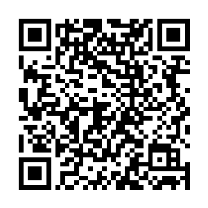 但是随即被寒月一把提起狠狠的丢在了一边晕死了过去二维码生成