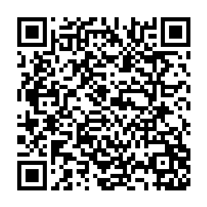 但是魏行侠一直认为自己从宋州市长任上被调离是帮孙承利顶了缸二维码生成