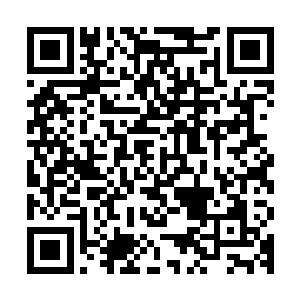 但是龙战和这个给它治疗伤口的人类是不会故意让自己的难受的二维码生成