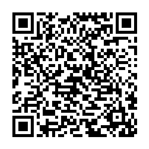 但普通人却看不到也许拍了一部戏之后就一年没有工作的彷徨和痛苦二维码生成