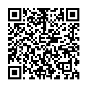 但更多的还是畏惧和害怕……与其说玄水巨蟒是重伤不治而死二维码生成