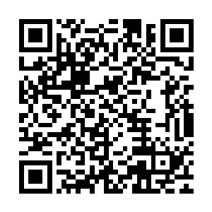 但最受孩子们和太太欢迎的反而是可以穿行在密林佛塔边的马车二维码生成