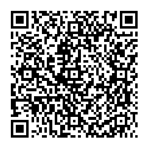 但最终为他赢得巨大声誉和政治地位的却是自己这位老朋友策划好在几个月后才告诉自己真相的伪造事件二维码生成